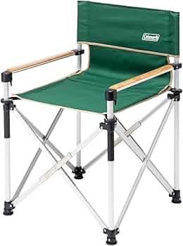 61iL1KRAuwL._AC_UF350,