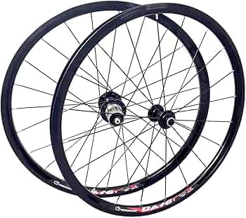 61iXyrOjUML._AC_UF350,