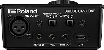 Amazon.co.jp: ローランド Roland/BRIDGE CAST ONE/ゲーミングDAC