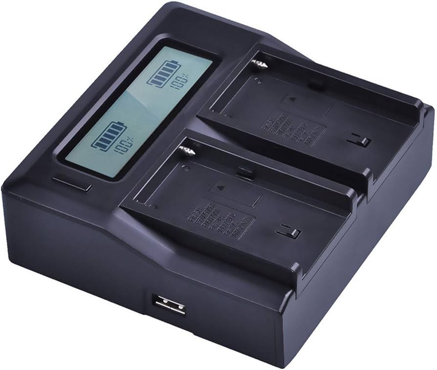 Amazon.com : LCD Dual Quick Charger for Sony BP-U30, BP-U60, BP