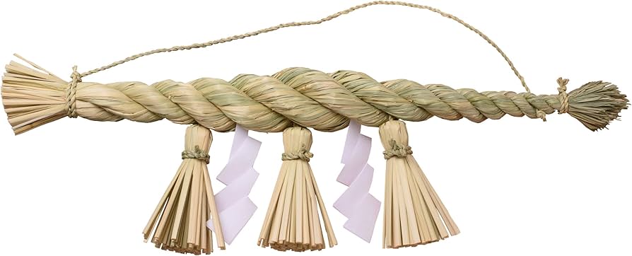 71+YmJOQSML._AC_UF894,