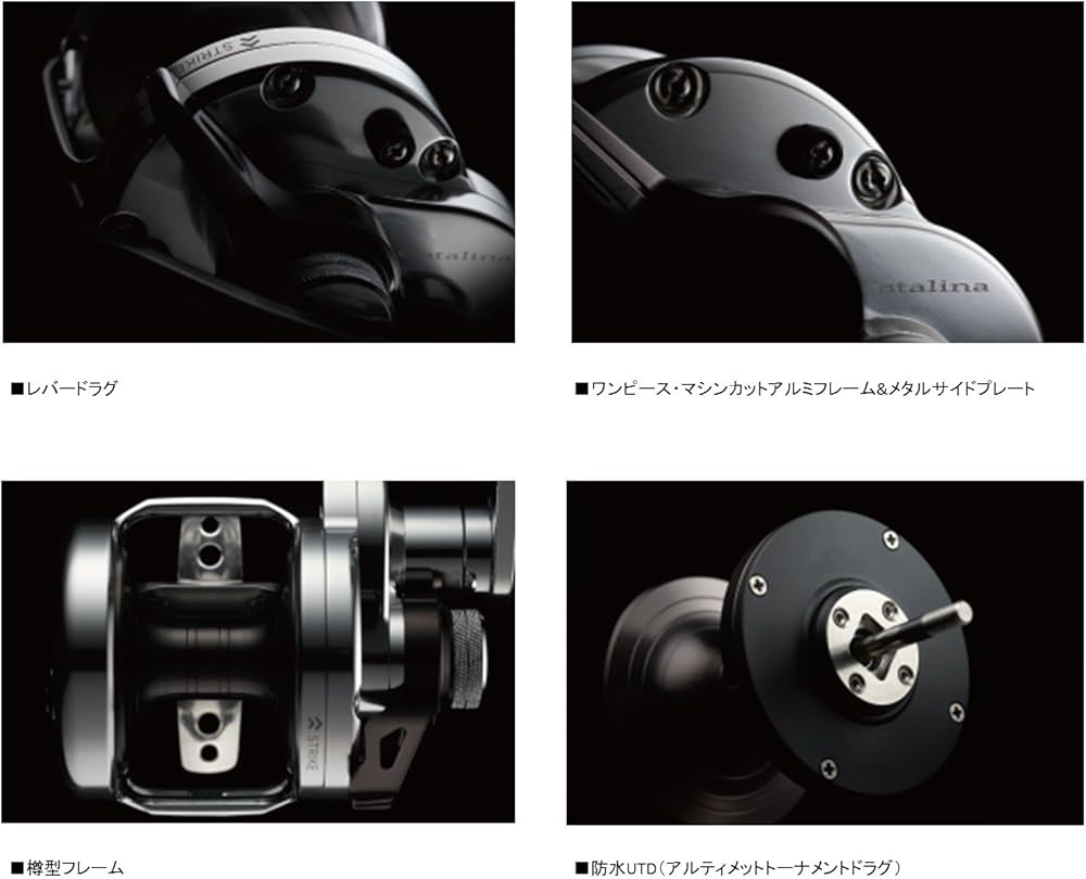 Amazon | ダイワ(Daiwa) ベイトリール キャタリナ LD 20SH | ダイワ