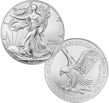 United States Mint 2022 Silver Eagle $1 American Coin with Lady