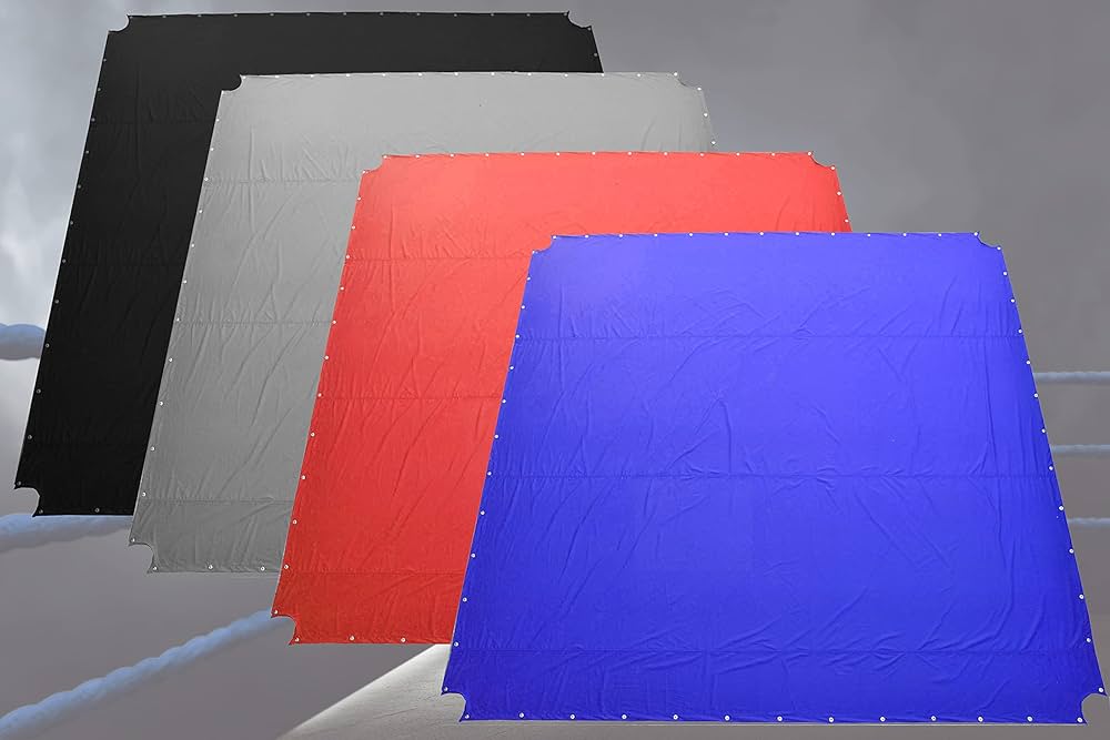 Amazon.co.jp: DAAN ボクシングリング キャンバス プロフェッショナル