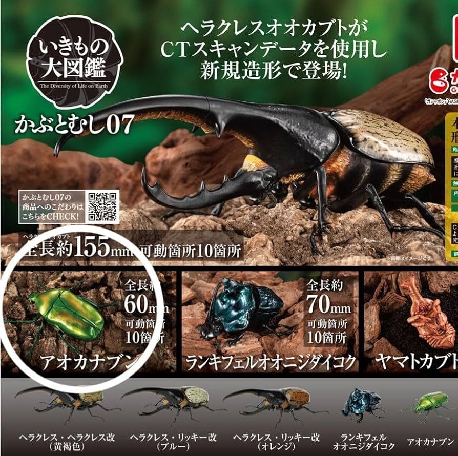いきもの大図鑑 かぶとむし07 10個セット 【公式通販】