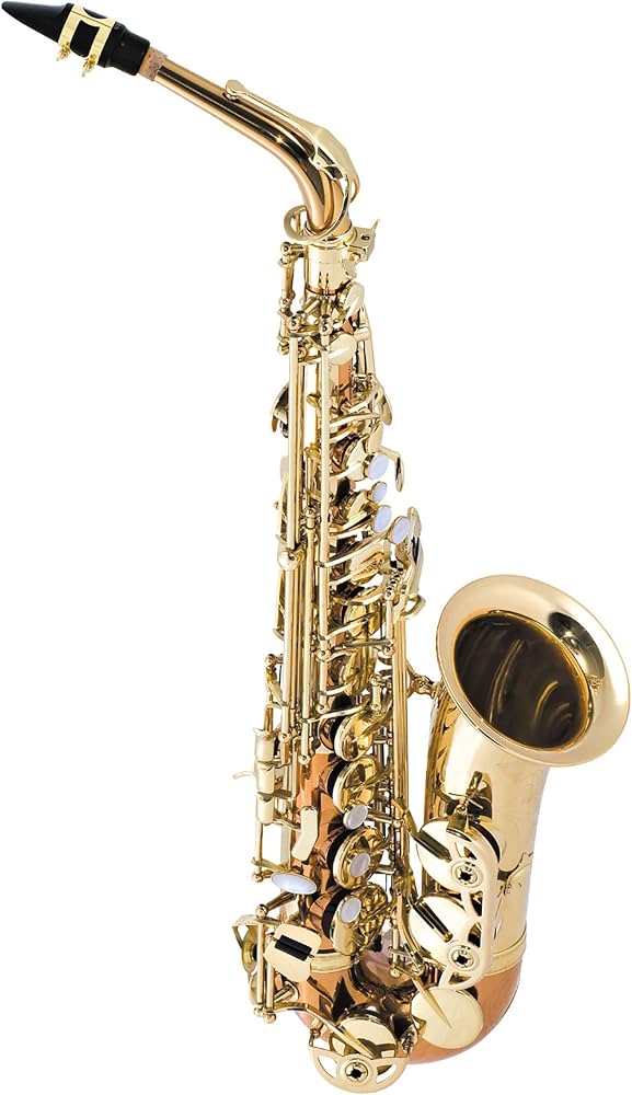 Amazon.com: Selmer La Voix ll Alto Saxophone Outfit-Copper Finish