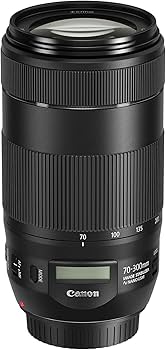 Amazon.com : Canon EF 70-300mm f/4-5.6 IS II USM Lens (Renewed