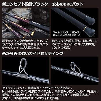Amazon | ダイワ(DAIWA) ロッド 21 オーバーゼア グランデ 99H