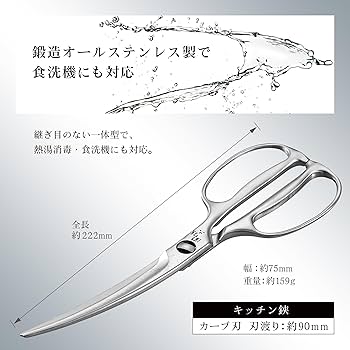 71Dy+KusheL._AC_UF350,