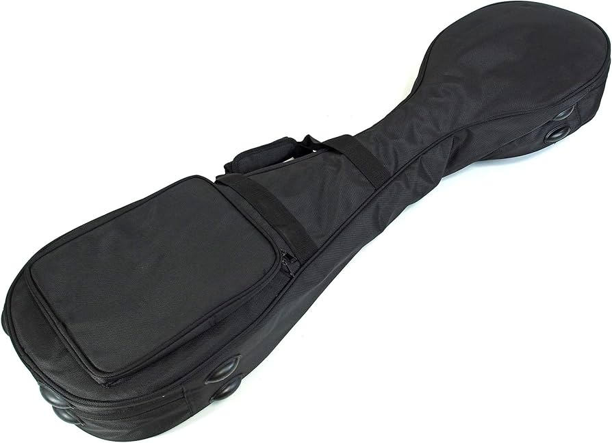 三味線 太棹 津軽三味線 カバー付き 三味線と専用ケース、布付き 楽天