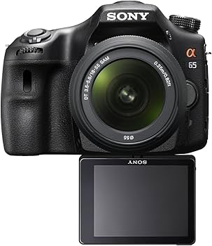 Amazon | SONY ミラーレス一眼 α65 ズームレンズキット DT 18-55mm F3