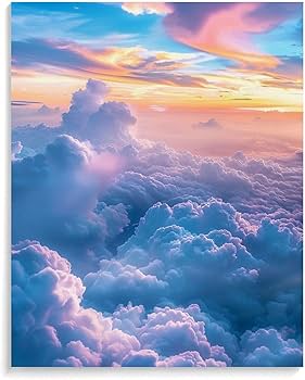 71JPaBbfooL._AC_UF350,