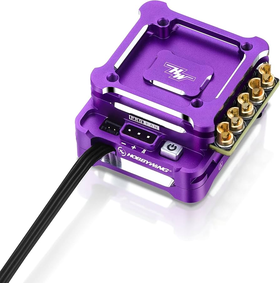Amazon.com: HOBBYWING Xerun XD10 Pro ESC Series (Xerun XD10 Pro