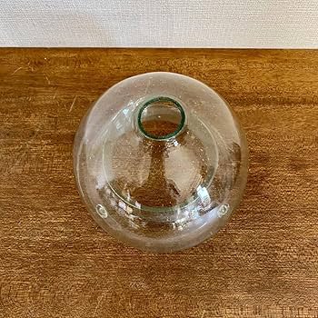 Amazon.co.jp: アンティーク ハエ取り瓶 ガラス製 ハエ取り器 気泡