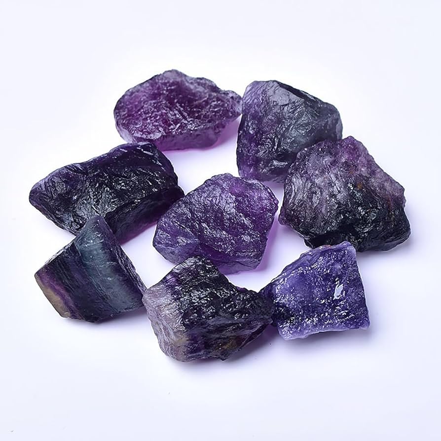 71UTS+MlgbL._AC_UF894,