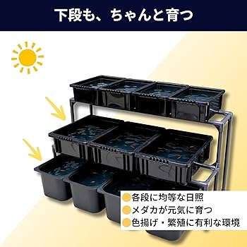 Amazon.co.jp: メダカ飼育ラックR28 2段 屋外用 内面防錆パイプ採用