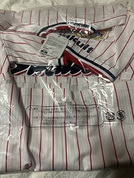 Amazon.co.jp: 東京 ヤクルト スワローズ 公式 つば九郎 リーグ優勝