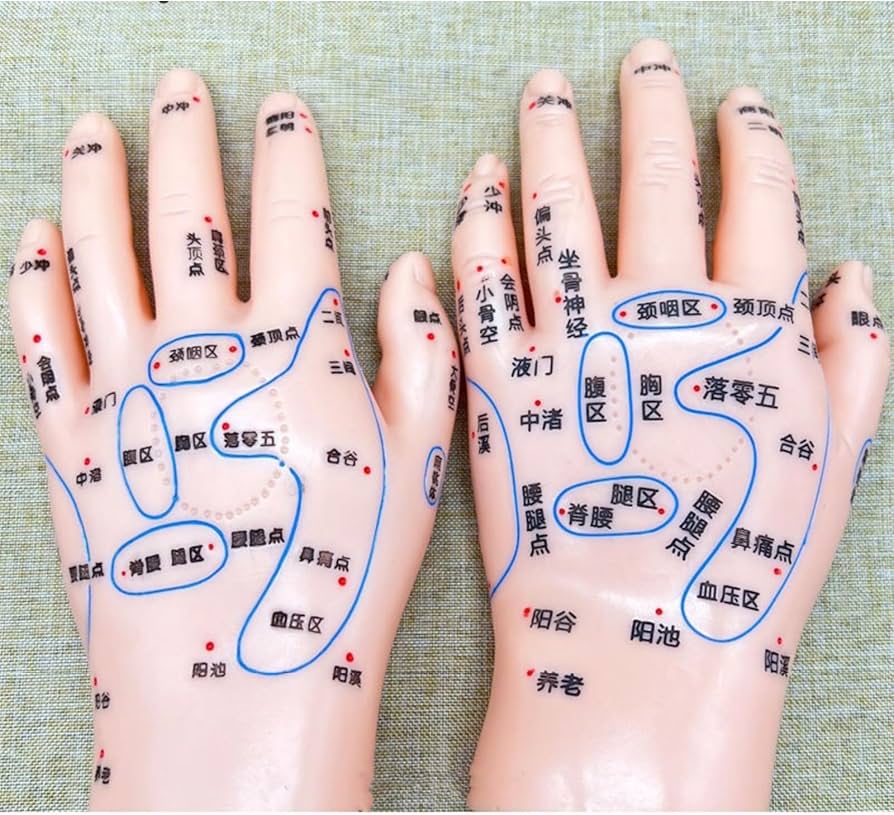 71gdSbr7J1L._AC_UF894,