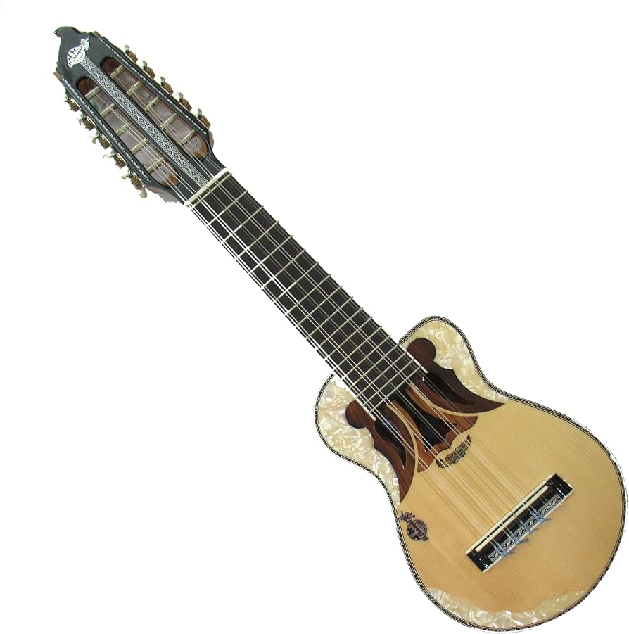 Amazon.co.jp: 【 CHARANGO EL CHASQUI 】ハードケース付き 民族楽器