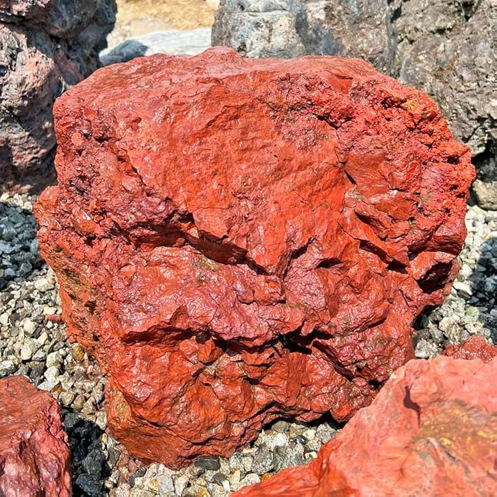 Amazon | 津軽錦石 青森県産 赤石 庭石 景石 陸奥 錦石 飾り石 青森