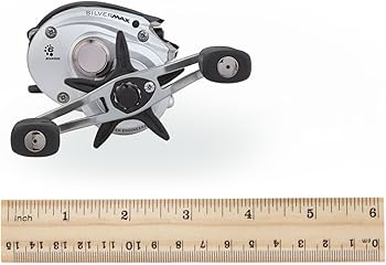 Amazon | Abu Garcia シルバーマックスロープロフィールリール | Abu