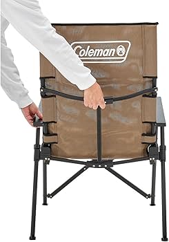 Amazon.co.jp: Coleman(コールマン) レイチェアメッシュ(グレージュ