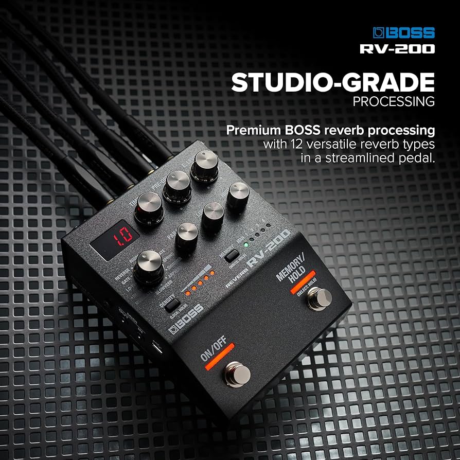 Amazon.com: BOSS RV-200 Reverb | Premium Reverb Processing in a