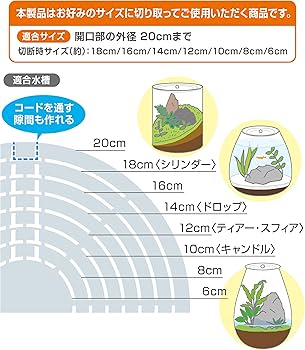 Amazon | 【セット買い】ジェックス GEX ピコロカ High コンパクト