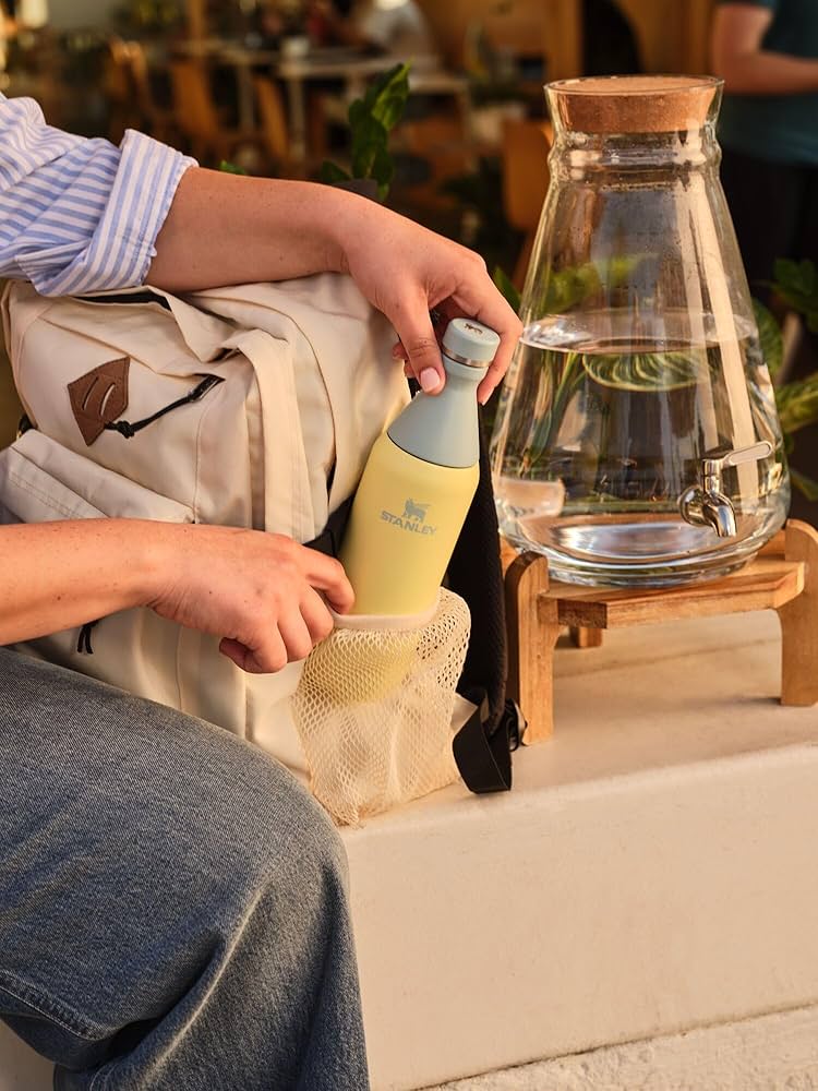 Amazon.co.jp: Stanley (スタンレー) オールデイ スリムボトル 20