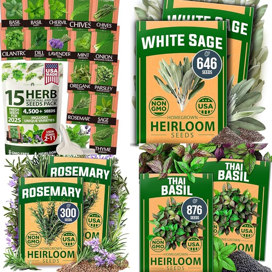 Amazon.com : HOME GROWN 4-Pack Herb Seeds Bundle – 15 Culinary