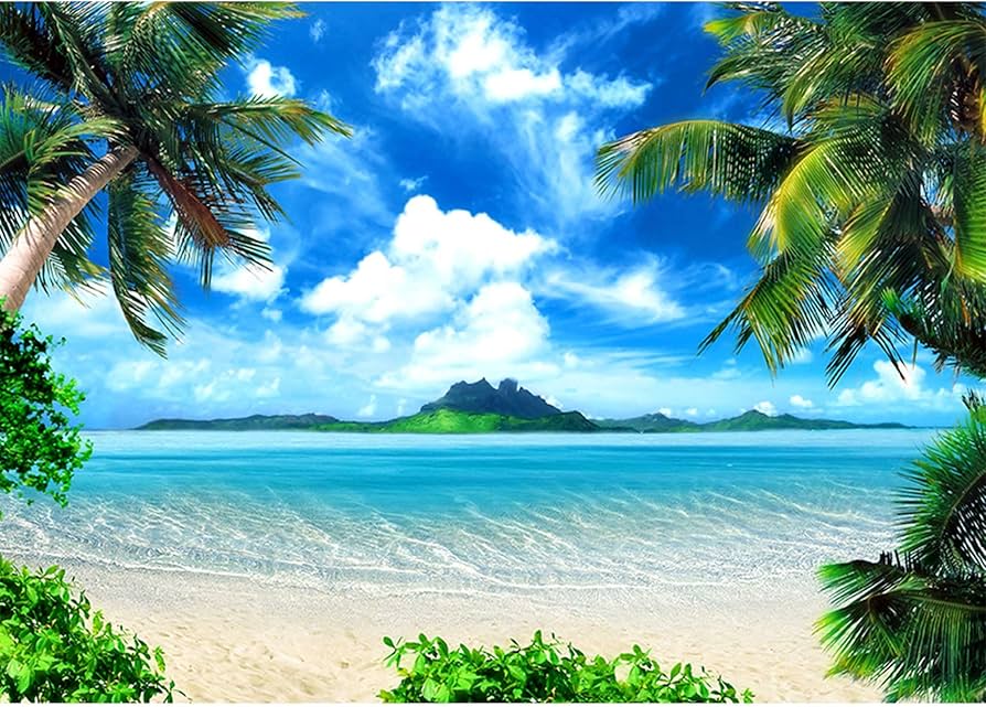 Amazon | SeekPro 夏 ビーチ 誕生日 写真背景 海 トロピカル フォト