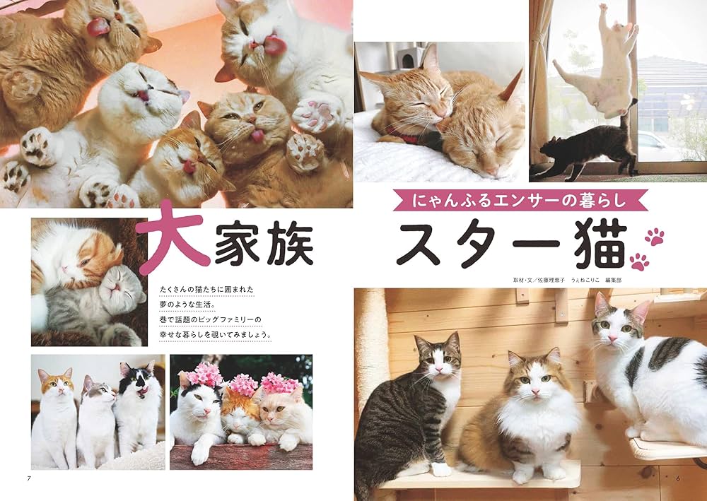 猫猫まみれ 大家族にゃんず (白夜ムック672) | 猫猫まみれ編集部 |本