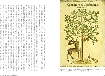 松の文化誌 (花と木の図書館) | ローラ・メイソン, 田口 未和 |本