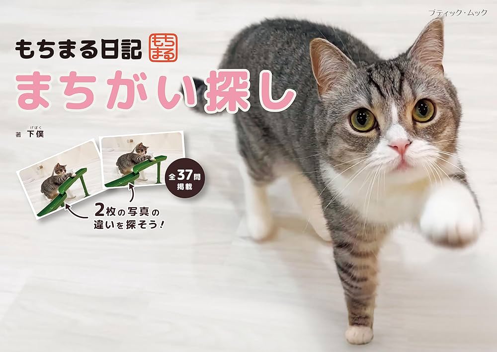 81jolwq1tQL._AC_UF1000,