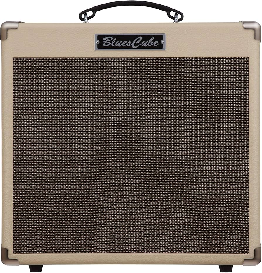 Amazon.com: Roland Blues Cube Hot 30W 1x12 Guitar Combo Amplifier