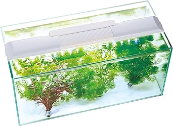 Amazon | ジェックス クリアLED エコリオ スライド4052 M サイズ | GEX