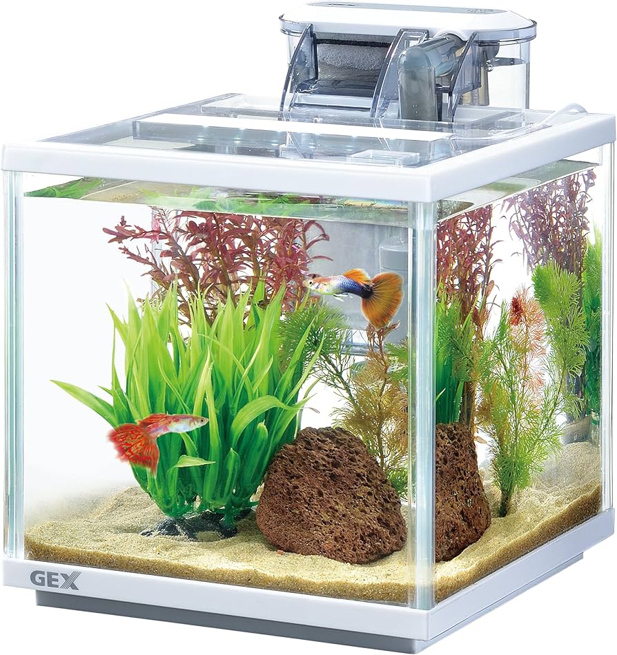 Amazon | GEX AQUARIUM スリムアクアセット200 DC-Xポンプ採用スリム