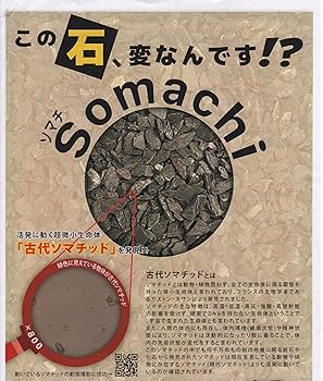 Amazon.co.jp: 古代ソマチッド 石タイプ100g ソマチッド SOMACHI
