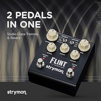 Amazon.com: Strymon Flint V2 Tremolo and Reverb Guitar Effects