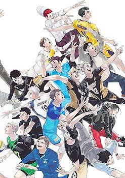 ハイキュー!! 10thクロニクル (愛蔵版コミックス) | 古舘 春一 |本