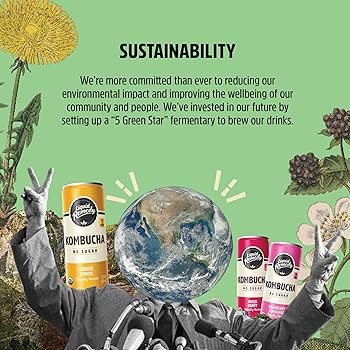 Amazon.com: Liquid Remedy Kombucha Sugar Free Organic Drink, Low