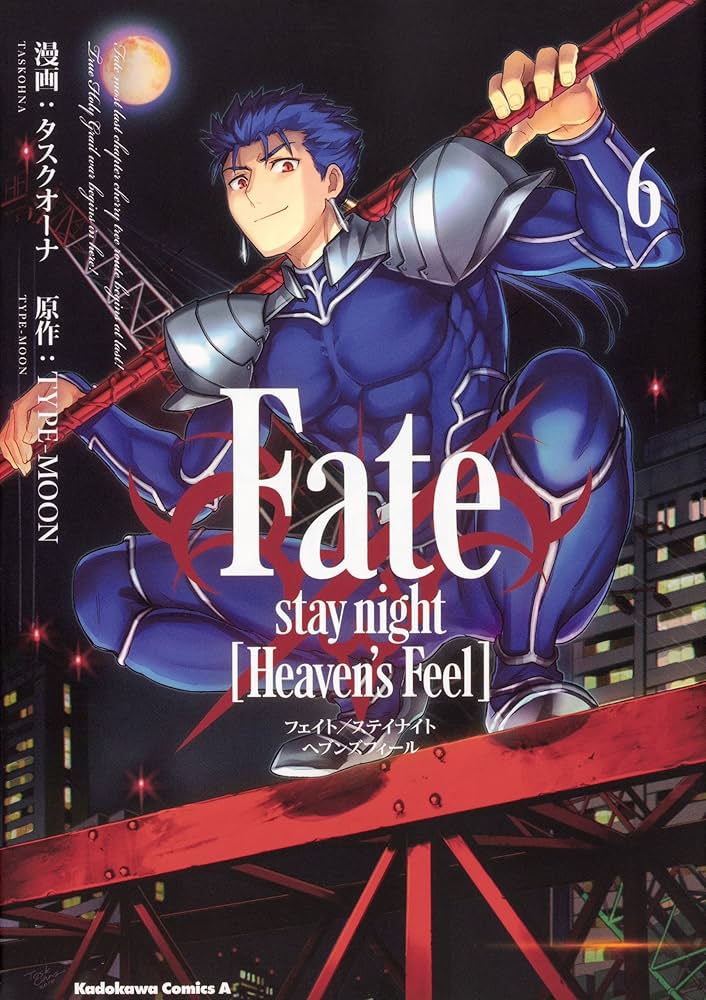 Amazon.com: Fate/stay night (Heaven's Feel) Vol.6: 9784041071632