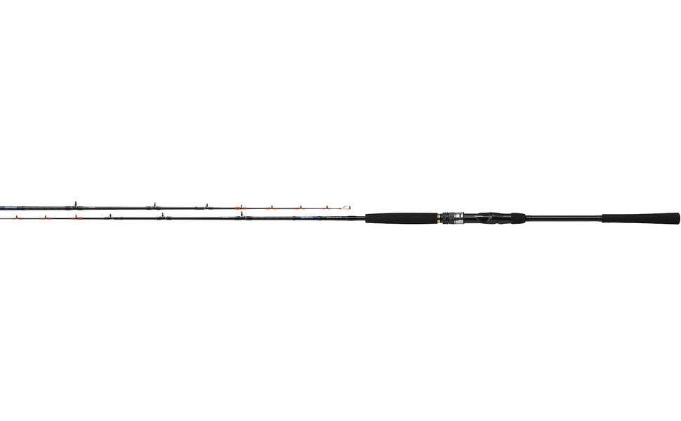 Amazon | ダイワ(DAIWA) 船竿 ビシアジX M-190 釣り竿 | ダイワ(DAIWA