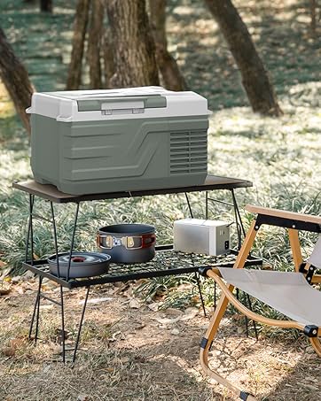 Amazon.co.jp: Alpicool 車載冷蔵庫 15L ポータブル冷蔵庫 急速冷凍