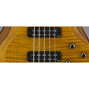 Amazon.co.jp: ヤマハ YAMAHA エレキベース TRBX604FM NS : 楽器・音響機器