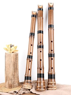 Amazon | Jinchuan 尺八 1尺8寸 D管 尺六 1尺6寸 E管 琴古流 高級管