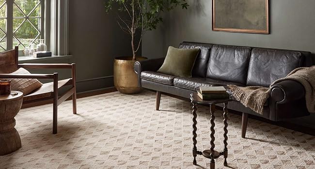 Amazon.com: Loloi Magnolia Home by Joanna Gaines Rae Collection