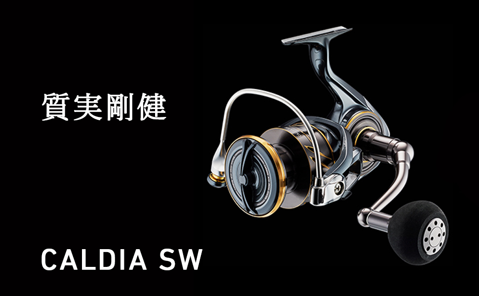 Amazon | ダイワ(DAIWA) スピニングリール 22 カルディアSW 4000D-CXH