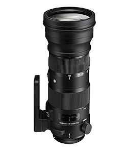 Amazon.com : Sigma 150-600mm 5-6.3 Sports DG OS HSM Lens for Canon