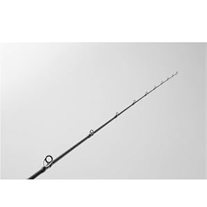 Amazon | AbuGarcia (アブガルシア) ソルティーステージKR-X ライト